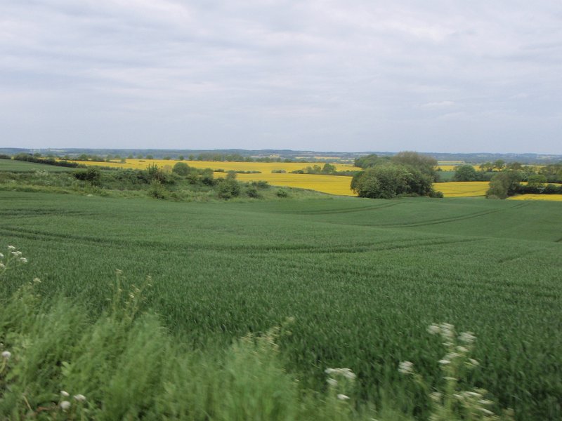 Bad Schwartau 275
